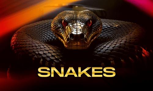 Snakes Gaming Laser247 | Laser247 ID | MyLaser247 | MyLaser247 ID