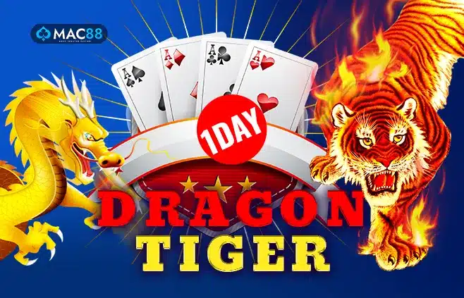 1 Day Dragon Tiger Laser247 | Laser247 ID | MyLaser247 | MyLaser247 ID