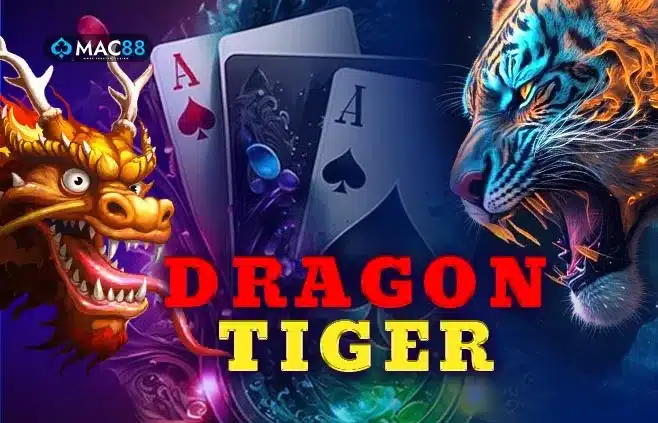 Dragon Tiger Laser247 | Laser247 ID | MyLaser247 | MyLaser247 ID
